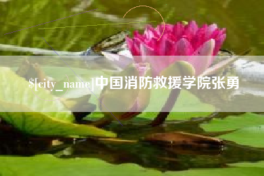 安庆中国消防救援学院张勇