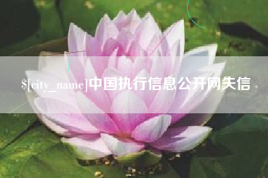 安庆中国执行信息公开网失信