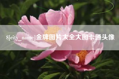 安庆金牌图片大全大图卡通头像