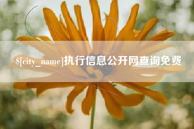 安庆执行信息公开网查询免费
