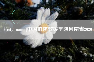 安庆中国消防救援学院河南省2020