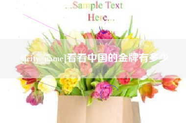 安庆看看中国的金牌有多少